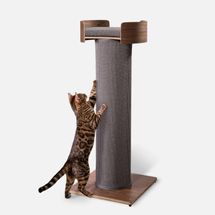 One Fast Cat Giant Scratching Tower