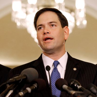 Sen. Marco Rubio (R-FL) (C) speaks during news conference