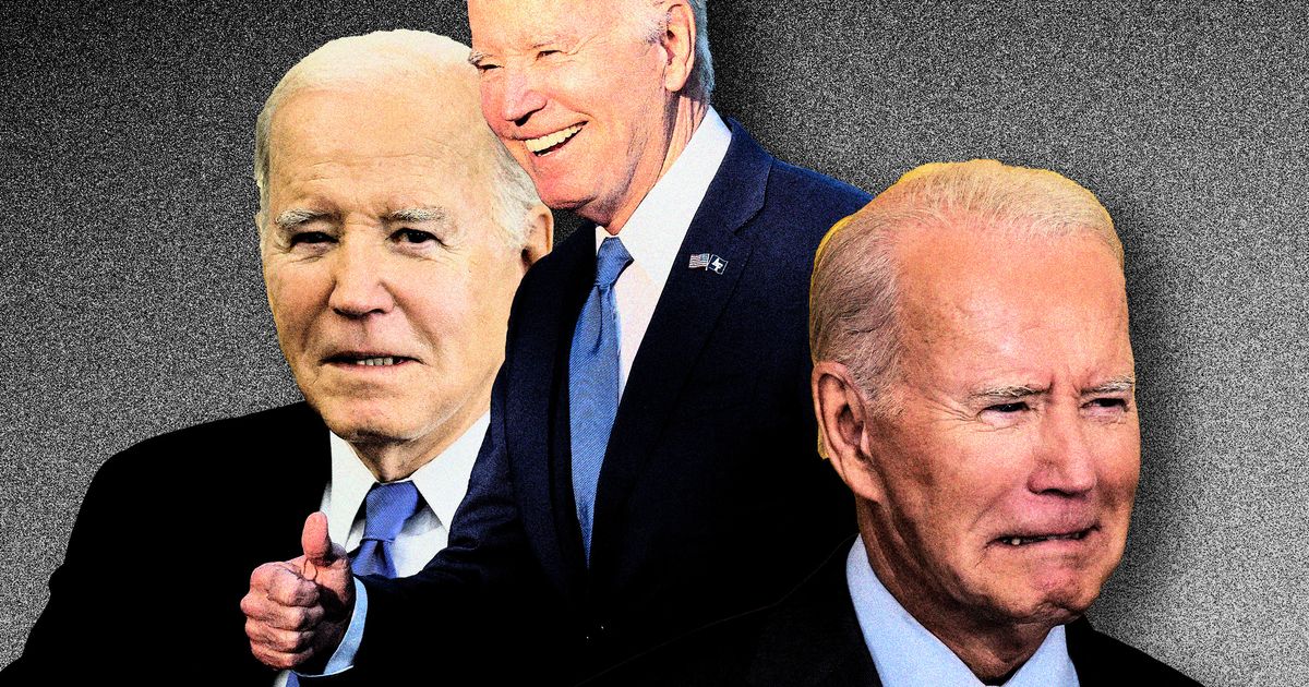 Do the Hur Report and Biden's Age and Memory Really Matter? - Vimarsana News