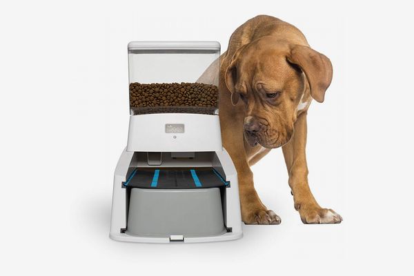 automatic dog feeder machine