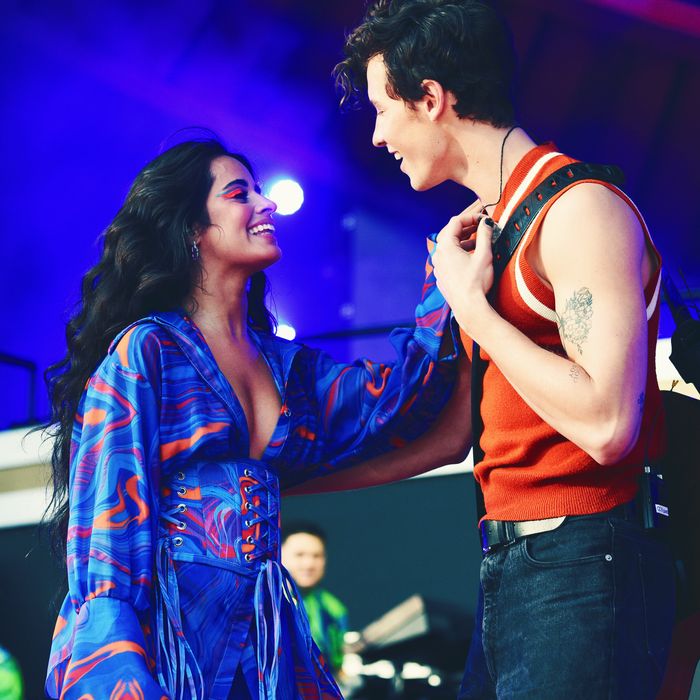 Are Shawn Mendes and Camila Cabello Dating Again?