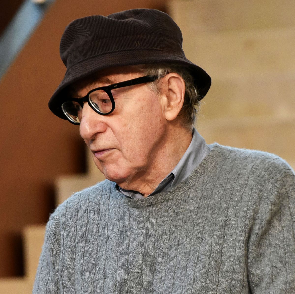 Woody Allen Memoir Apropos Of Nothing Everything We Learned