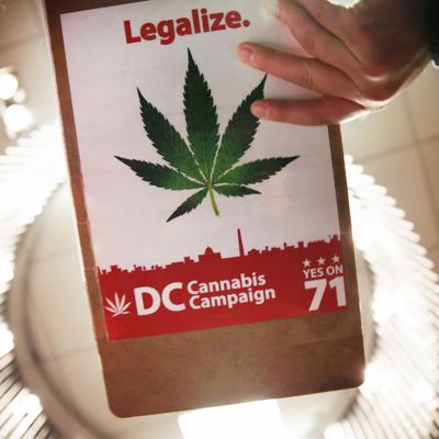 Marijuana Industry Expo Held In D.C.