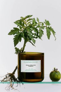 Flamingo Estate Heirloom Tomato Candle