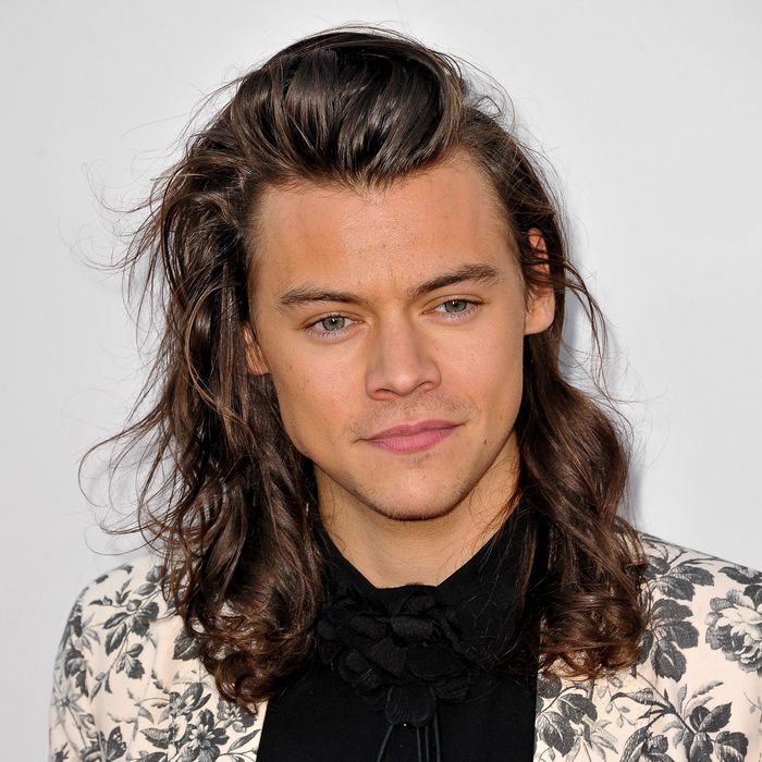 Harry Styles Hair 2025