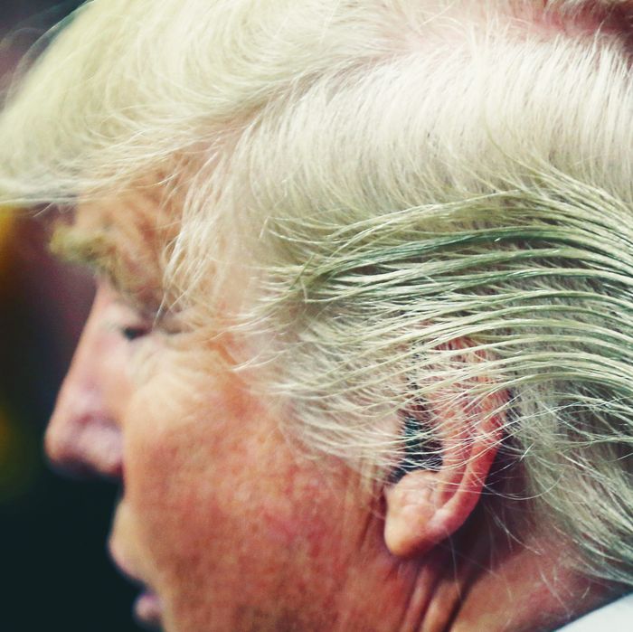 We Finally Know The Secret To Donald Trump S Hair   84c16f3555e199ebd00716282f9ed6d326 04 Donald Trump Hair.rsquare.w700 