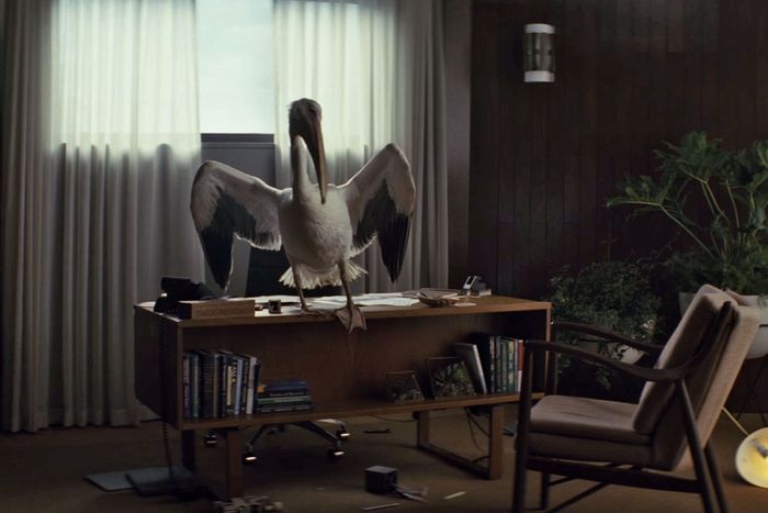 Not this one, though.