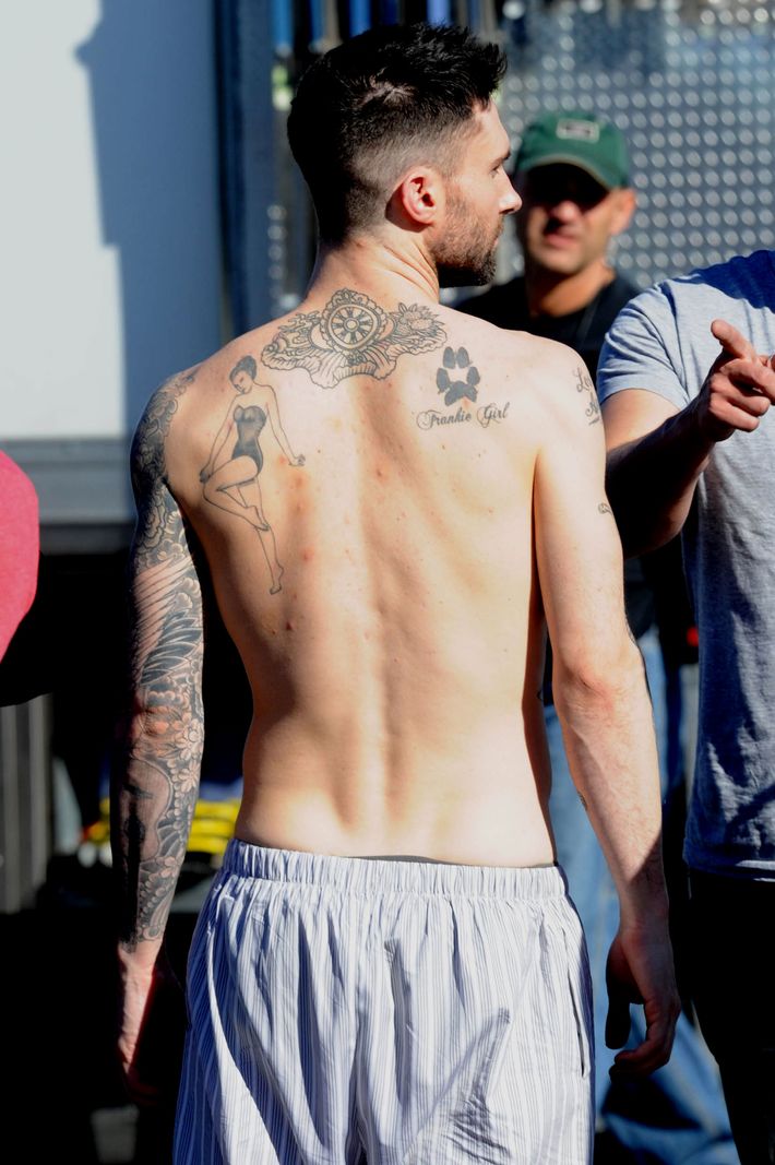 An Exhaustive Taxonomy of Adam Levine's Tattoos