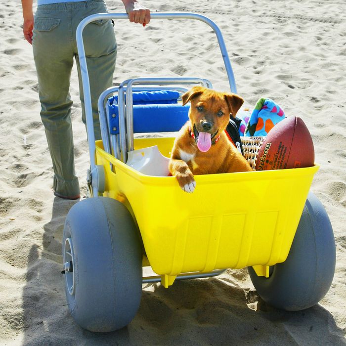 beach trolley wide wheels