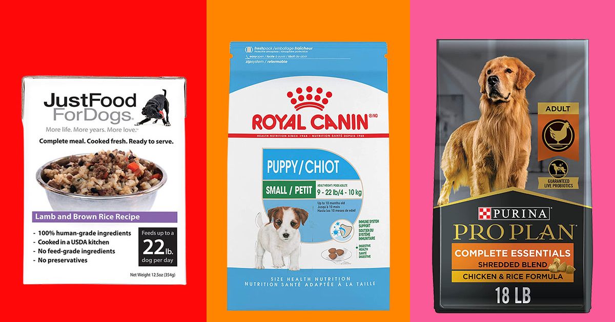 cheap royal canin dog food