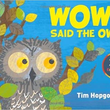 WOW! Said the Owl by Tim Hopgood
