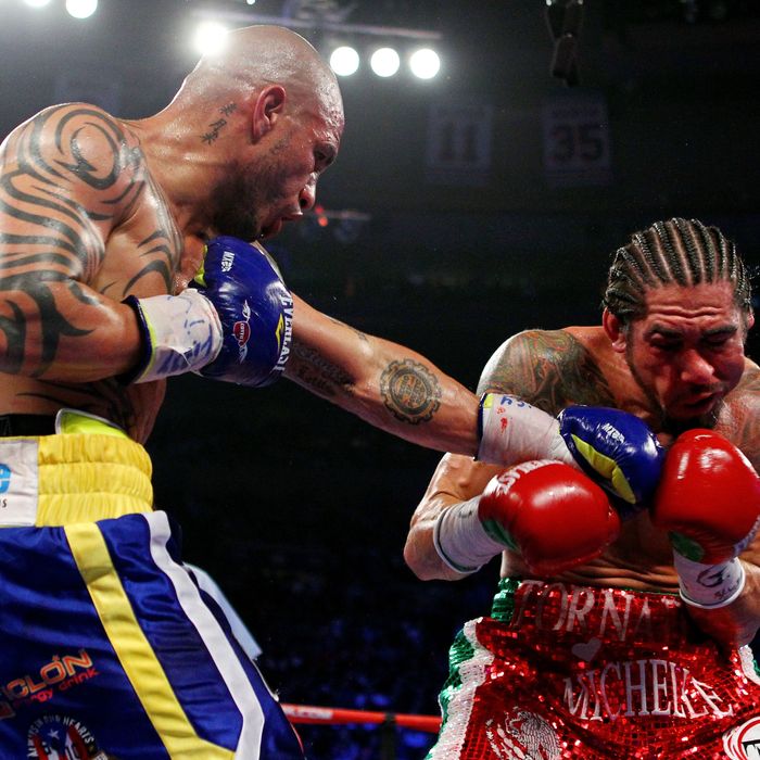 Miguel Cotto (L) of Puerto Rico connects with a left handed punch against Antonio Margarito of Mexico during the WBA World Junior Middleweight Title fight at Madison Square Garden on December 3, 2011 in New York City.