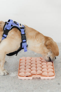 Dexypaws Blush Pink Square Enrichment Snuffle Mat