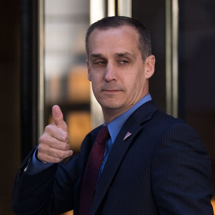 Corey Lewandowski Leaving CNN, May Join Trump White House