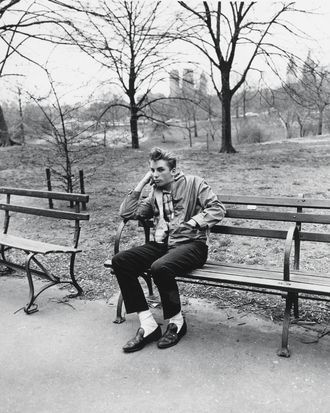 Young Man Lying on Bench in a Park · Free Stock Photo