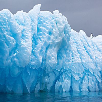 Iceberg with Adelie Penguin