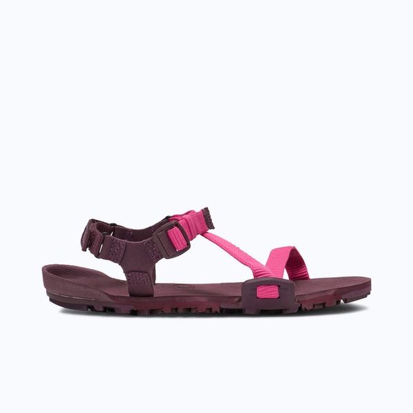 Xero Shoes Z-Trail EV - Women’s