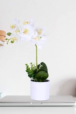 LIVILAN Orquídea Phalaenopsis de seda en jarrón blanco