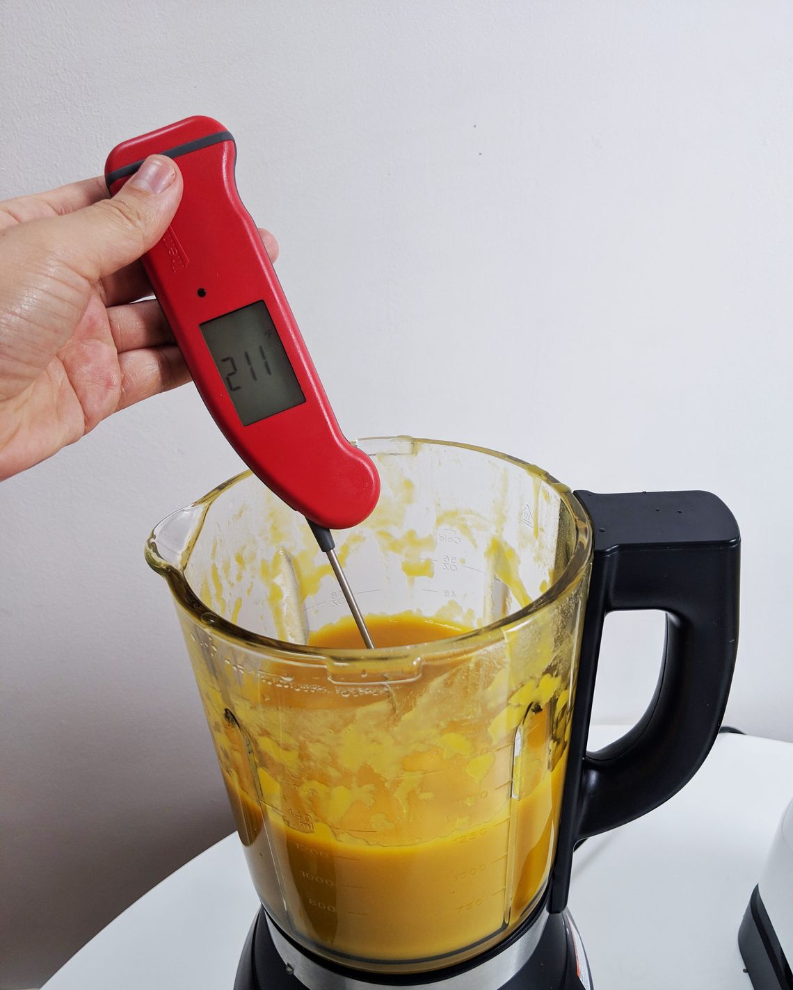 We Pitted the $99 Instant Pot Blender Against the Vitamix — Guess