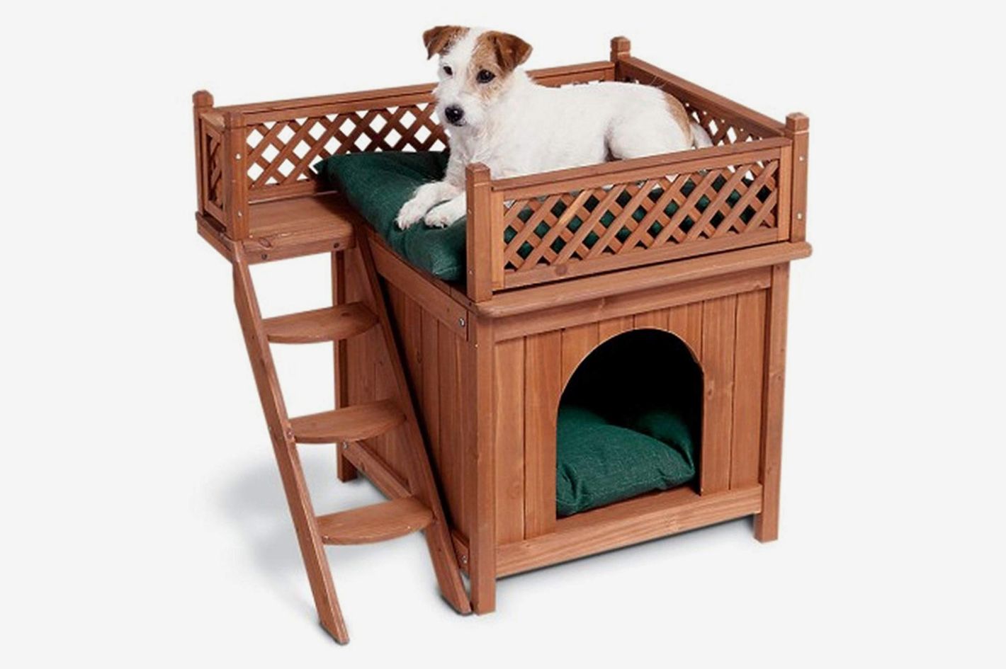 8 Best Doghouses  Outdoor Shelters for Dogs