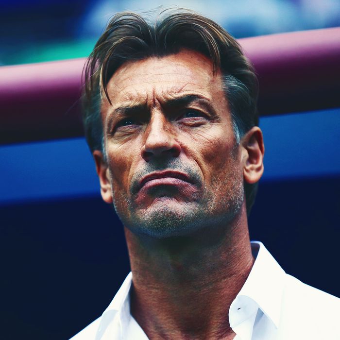 Everyone's Loving Morocco Soccer Coach Hervé Renard