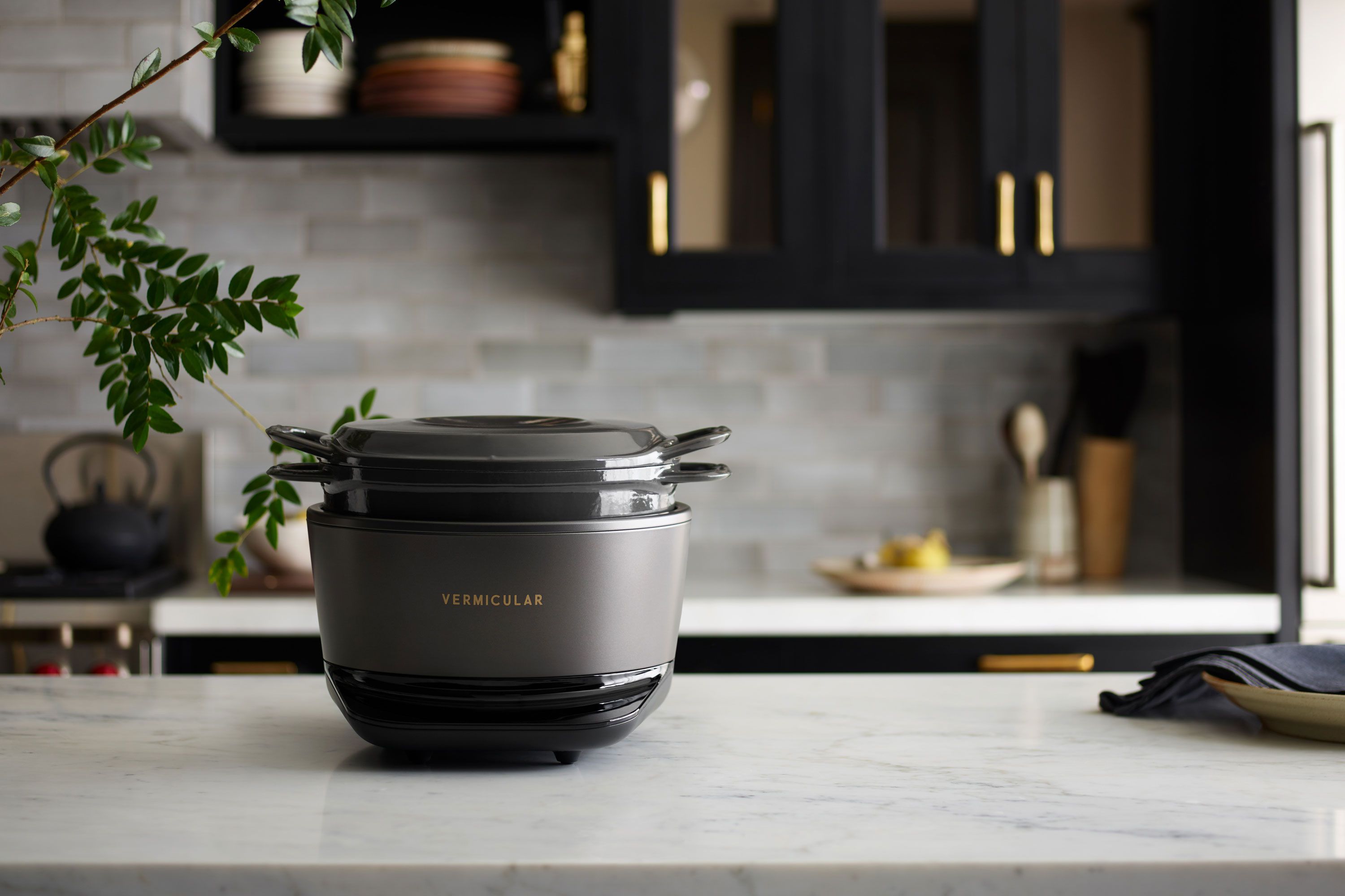 Vermicular Musui-Kamado Review: Luxurious, but Lacking