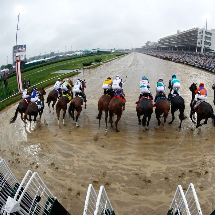 Congrats to Justify, Kentucky Derby Winner and New Horse God