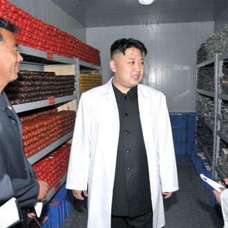 This undated picture, released from North Korea's official Korean central News Agency (KCNA) on June 3, 2013 shows North Korean leader Kim Jong Un (C) inspecting a pig farm under Korean People's Army (KPA) Unit 549 at undisclosed place in North Korea. 