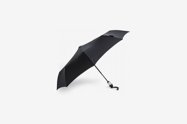 davek umbrella sale