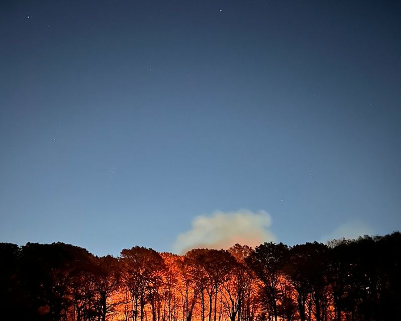 The brush fire in Brooklyn's Prospect Park on Friday, November 8.