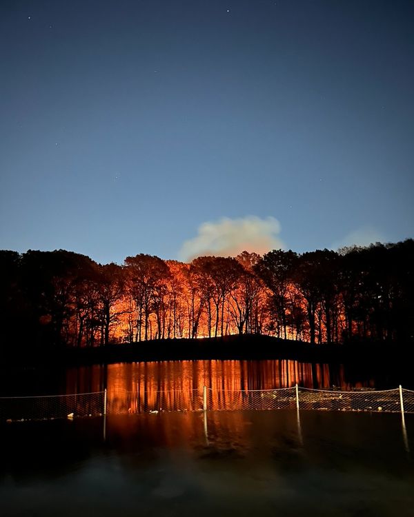 The brush fire in Brooklyn’s Prospect Park on Friday, November 8.