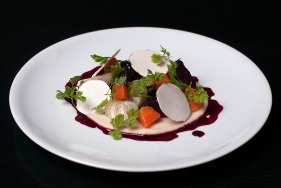 Beet bourguignon, carrots, pearl onions, mushrooms.