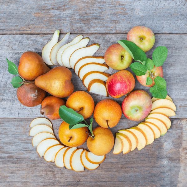 Frog Hollow Farm Farm Box Membership