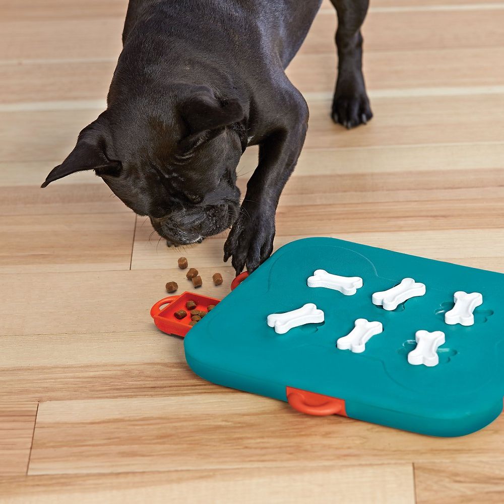 dog food puzzle games