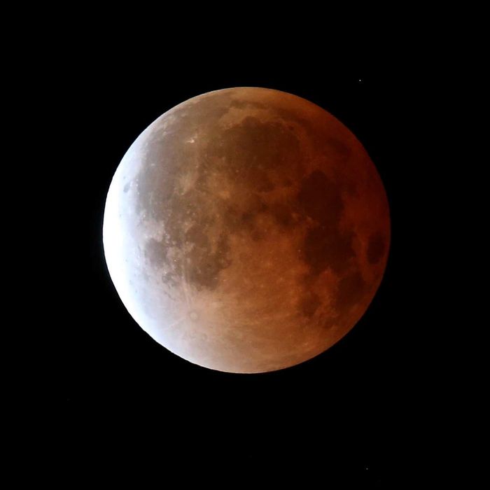 MIAMI, FL - APRIL 15: The moon is seen during a total lunar eclipse on April 15, 2014 in Miami, Florida. People in most of north and south America should be able to witness this year's first total lunar eclipse, which will cause a 'blood moon' and is the first of four in a rare Tetrad of eclipses over the next two years. (Photo by Joe Raedle/Getty Images)
