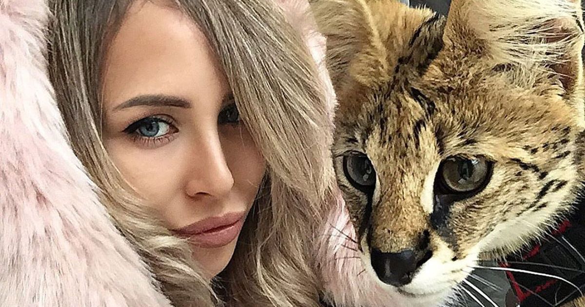 I Want to Be a Russian Instagram Girl With a Big Cat