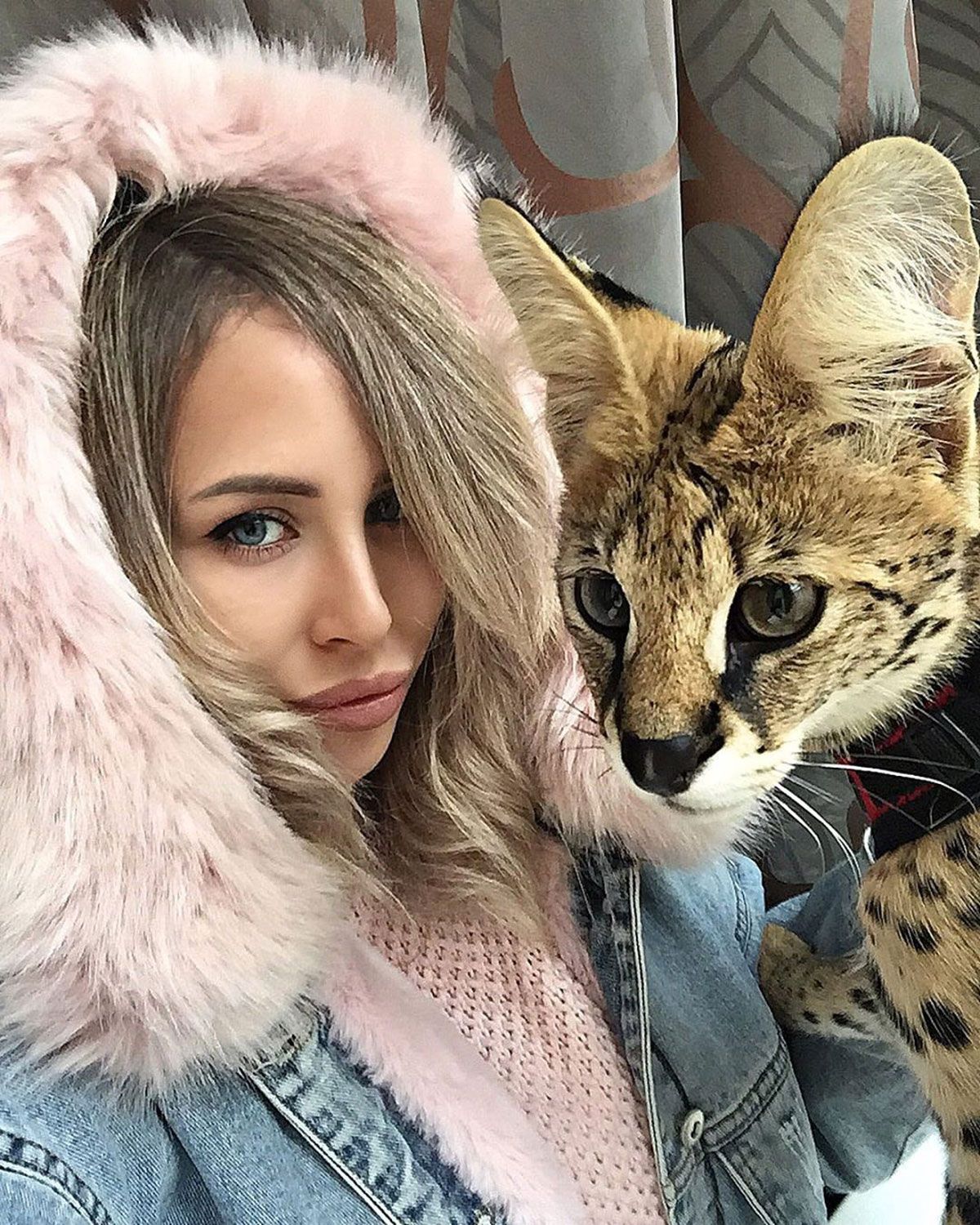 I Want To Be A Russian Instagram Girl With A Big Cat,How To Bleach Clothes