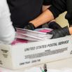 California Residents Vote In Primary Election