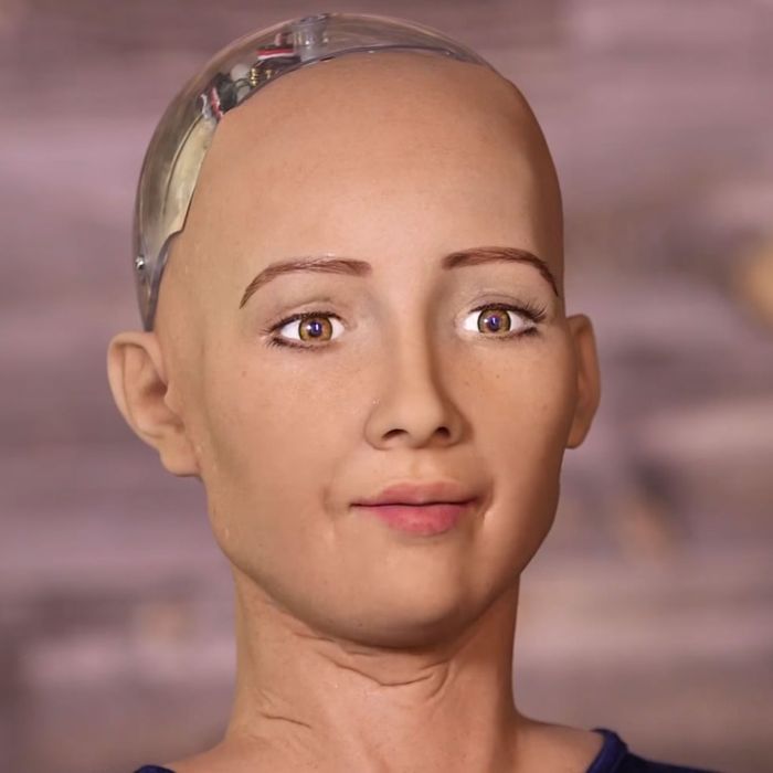 Sophia the Robot.