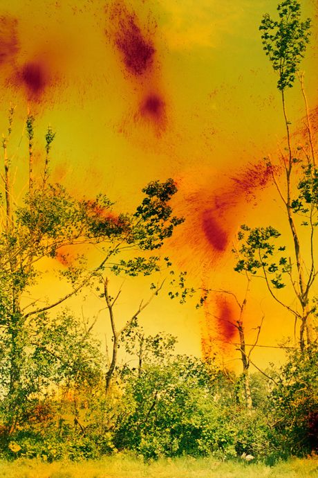 Wolfgang Tillmans, Icestorm, 2001.