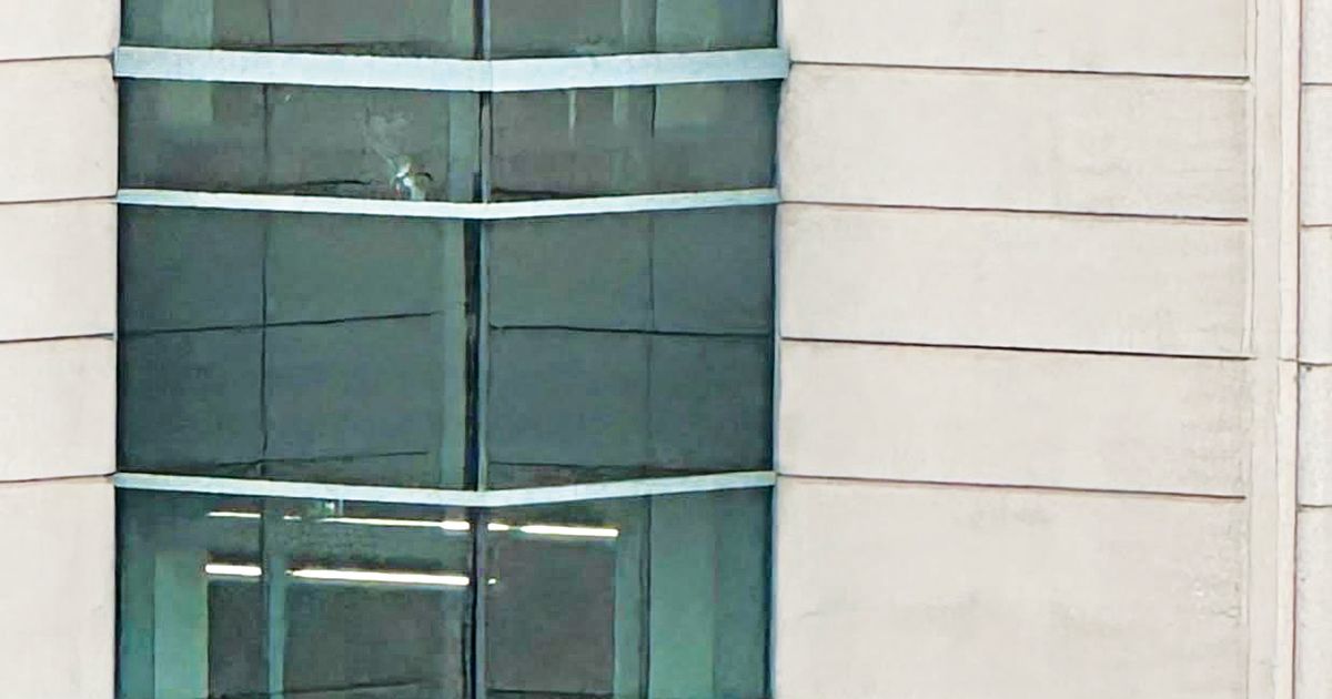 9 mins ago the power trip the power trip Doughnuts and Bullets: The Absurdity of Working for RFK Jr. By Kerry Howley What happens when your new boss thinks you’re a child killer?