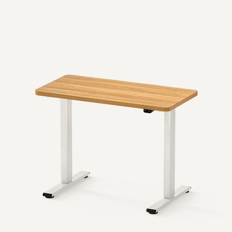Branch Duo Standing Desk Review 2023 - Forbes Vetted