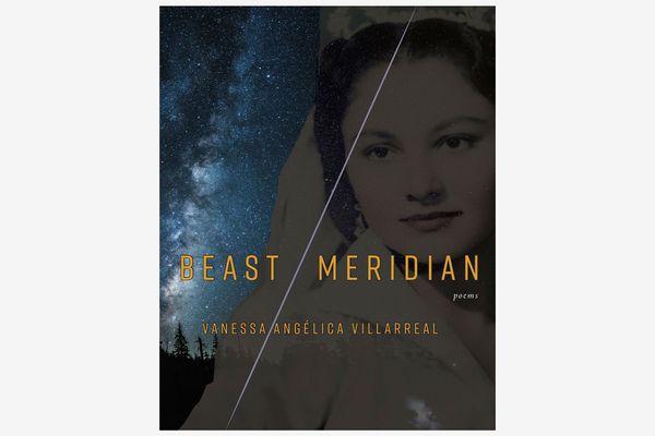Beast Meridian by Vanessa Angelica