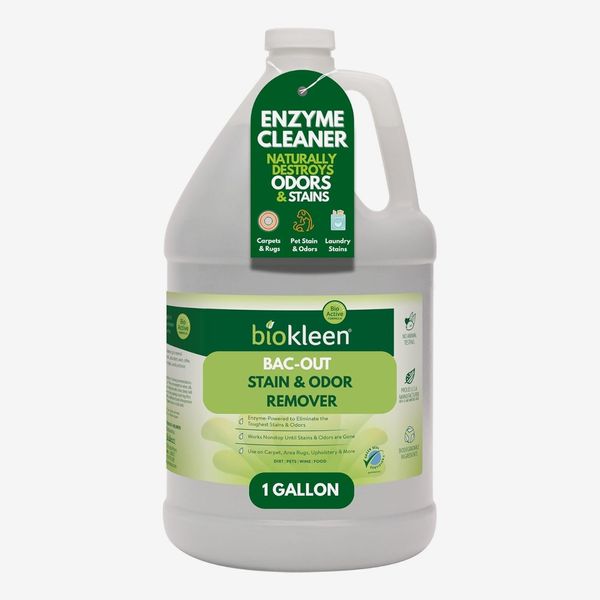 Biokleen Bac-Out Stain & Odor Remover - 1 Gallon