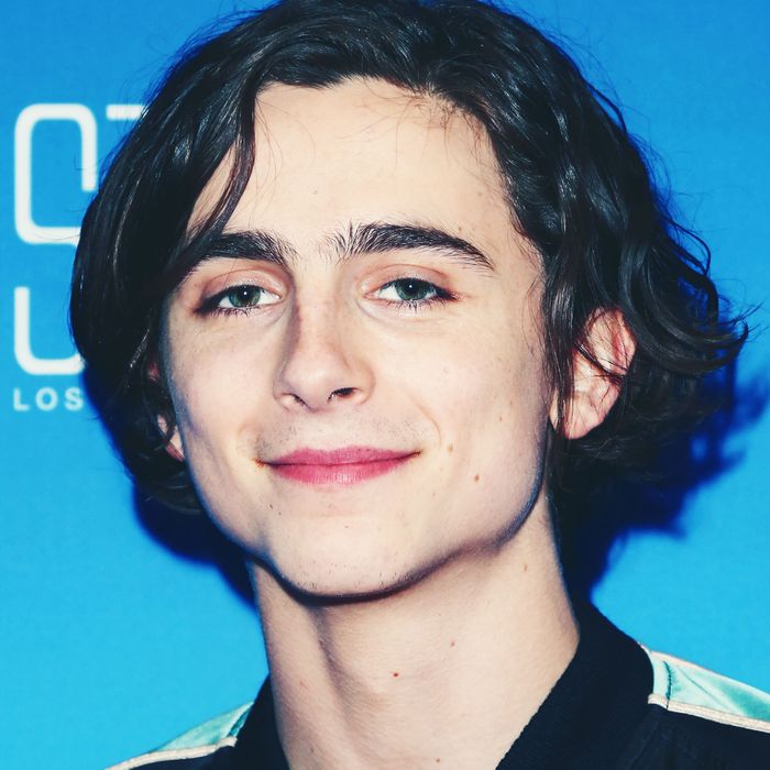 Timothée Chalamet Reportedly Made Out With a Blonde