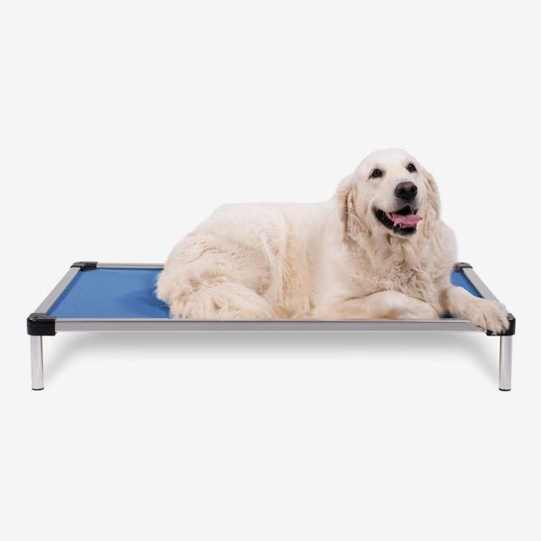 The 8 Best Cooling Dog Beds of 2024