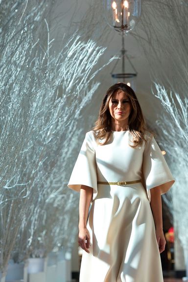 The 25 Most Talked-About White House Fashion Moments of 2017