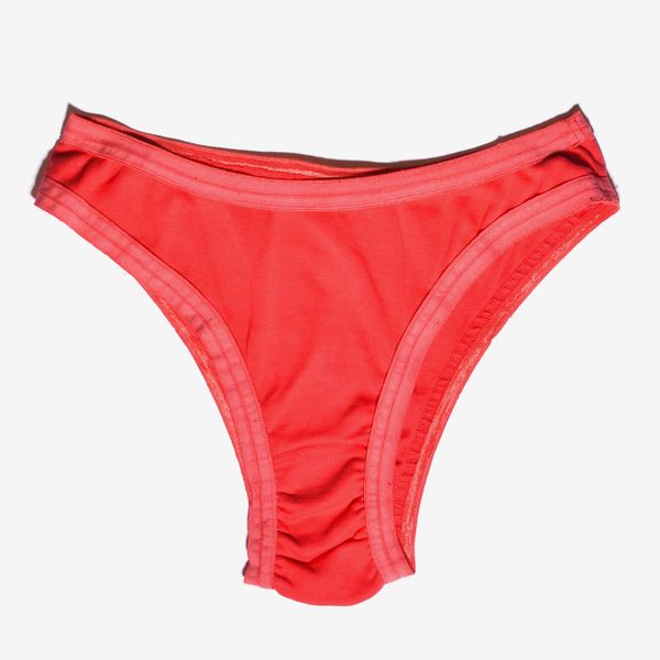 Judi Rosen Organic Cotton Bikini Panty