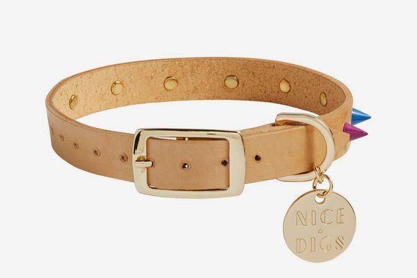 Nice Digs Spiked Leather Dog Collar
