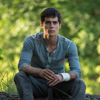 MAZE RUNNER
Dylan O’Brien stars as Thomas in THE MAZE RUNNER.
TM and ? 2014 Twentieth Century Fox Film Corporation. ?All Rights Reserved. ?Not for sale or duplication.